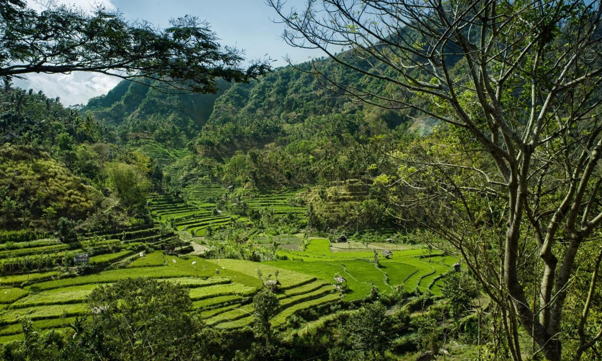 Retreat Villa Toraja Baturinggit คุบู ภายนอก รูปภาพ